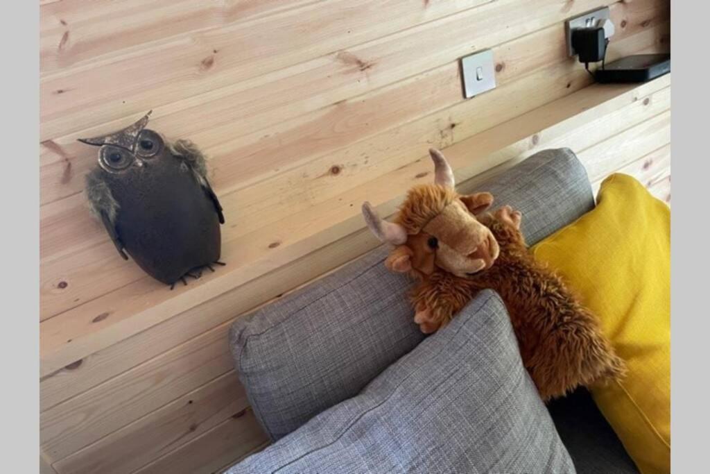 Coorie Doon Cabin! Great Scottish Welcome Fort Augustus Extérieur photo