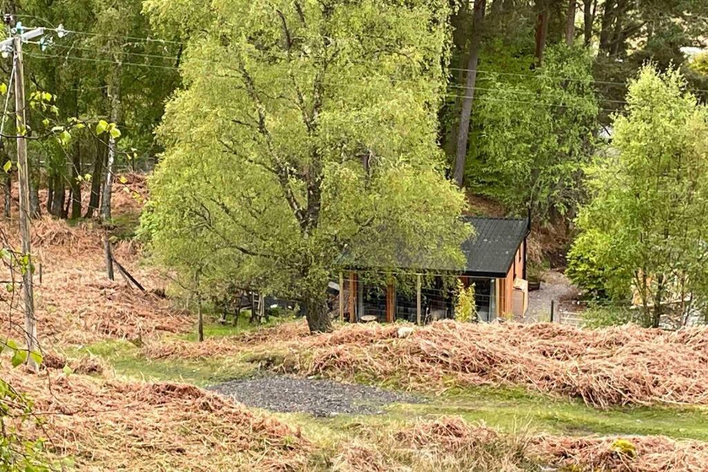 Coorie Doon Cabin! Great Scottish Welcome Fort Augustus Extérieur photo